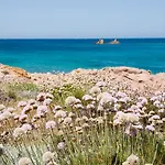 度假居 Antico Stazzo Gallurese Lu Capitanu *