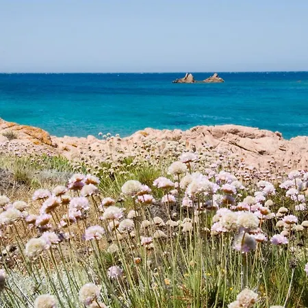 Casa vacanze Antico Stazzo Gallurese Lu Capitanu *